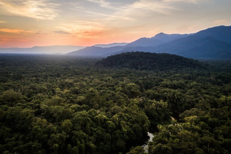 Green Amazon expedition explores veritable treasure trove for discovering new biological actives