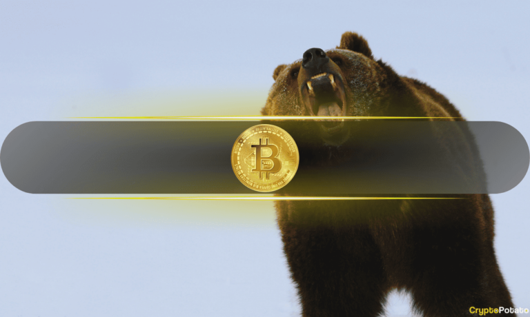 btc bear cover