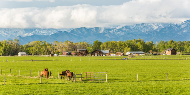 rural housing montana 1