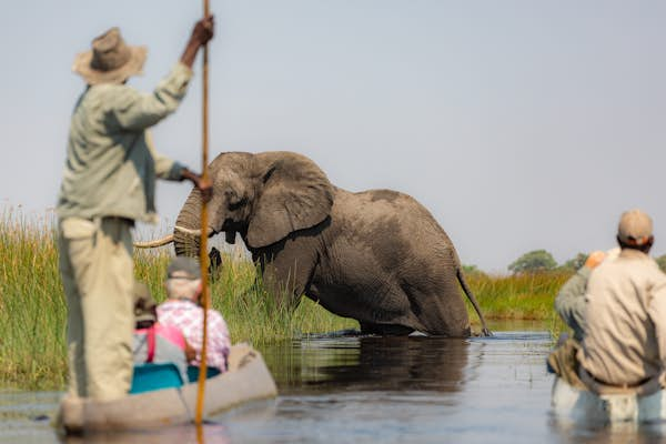 Botswana Okavango Delta Ger Metselaar shutterstock 1518095048 RFC