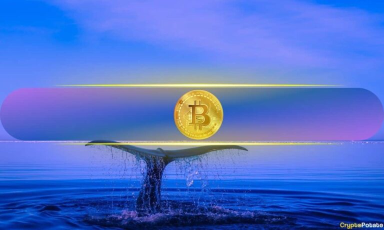 Bitcoin Whale 1